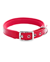 Dog Collar